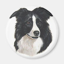 Border Collie Portrait Magnet