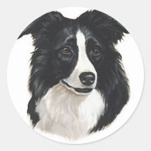 Border Collie Portrait Stickers