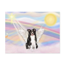 Border Collie Post Card