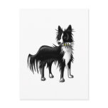 Border Collie Post Card