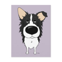 Border Collie Postcard