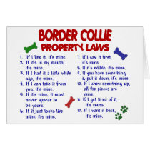 BORDER COLLIE Property Laws 2