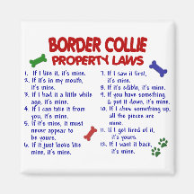 BORDER COLLIE Property Laws 2 Fridge Magnets