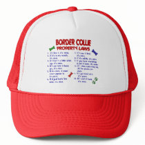 BORDER COLLIE Property Laws 2