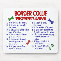 BORDER COLLIE Property Laws 2