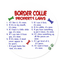 BORDER COLLIE Property Laws 2