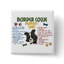 Border Collie Property Laws 4