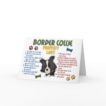 Border Collie Property Laws 4