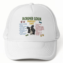 Border Collie Property Laws 4