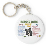 Border Collie Property Laws 4