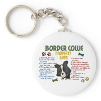 Border Collie Property Laws 4