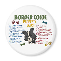 Border Collie Property Laws 4