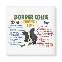 Border Collie Property Laws 4