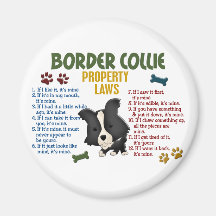 Border Collie Property Laws 4 Magnets