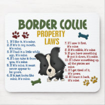 Border Collie Property Laws 4