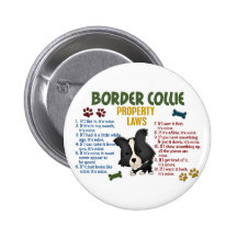 Border Collie Property Laws 4 Pins