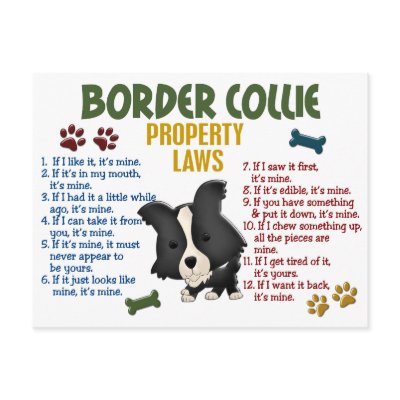 Border Collie Property Laws 4 by poochloverstuff