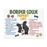 Border Collie Property Laws 4 postcards