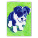Border Collie Pup in coloured Pencil cards