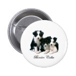 Border Collie Puppies Button