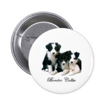 Border Collie Puppies Button