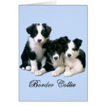 Border Collie Puppies cards