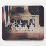 Border Collie Puppies Dog Lover Photo Mousepad