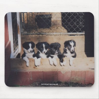 Border Collie Puppies Dog Lover Photo Mousepad by SmilinEyesTreasures