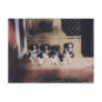 Border Collie Puppies Dog Photo Postcard