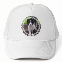 Border Collie Puppy Baseball Cap Mesh Hat
