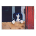 Border Collie Puppy Dog Blank Note Card