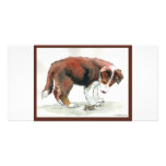 Border Collie Puppy & Grasshopper Customized Photo Card