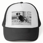Border Collie Puppy Hats