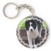 Border Collie Puppy Keychain