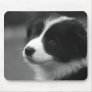 Border Collie Puppy Usemats