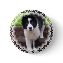 Border Collie Puppy Round Button