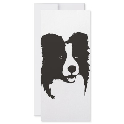 Border Collie by McBain