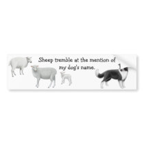 Border Collie & Sheep Herding Bumper Sticker