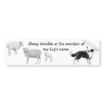 Border Collie & Sheep Herding Bumper Sticker bumper stickers