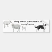 Border Collie & Sheep Herding Bumper Sticker
