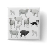 Border Collie & Sheep Pin buttons