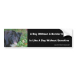 Border Collie Smiling Dog Lovers Bumper Sticker bumper stickers