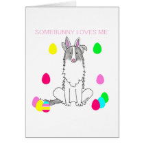 Border Collie Somebunny Loves Me cards