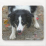Border Collie Stare Dog Lover Photo Mousepad