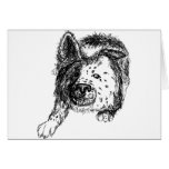 Border collie staredown transp greeting cards
