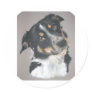 Border Collie Round Stickers