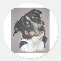 Border Collie Sticker