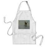 Border Collie - Tipper and Seagull Aprons