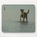 Border Collie - Tipper and Seagull Mouse Pad