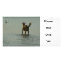 Border Collie - Tipper and Seagull Personalized Photo Card